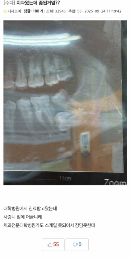 1758771193_0_img.jpeg