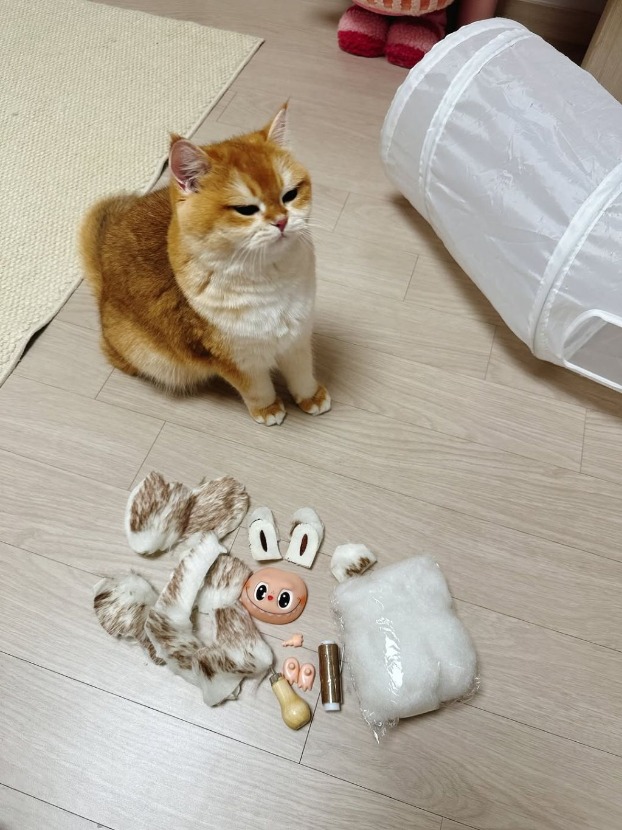 1758778980_0_img.jpeg