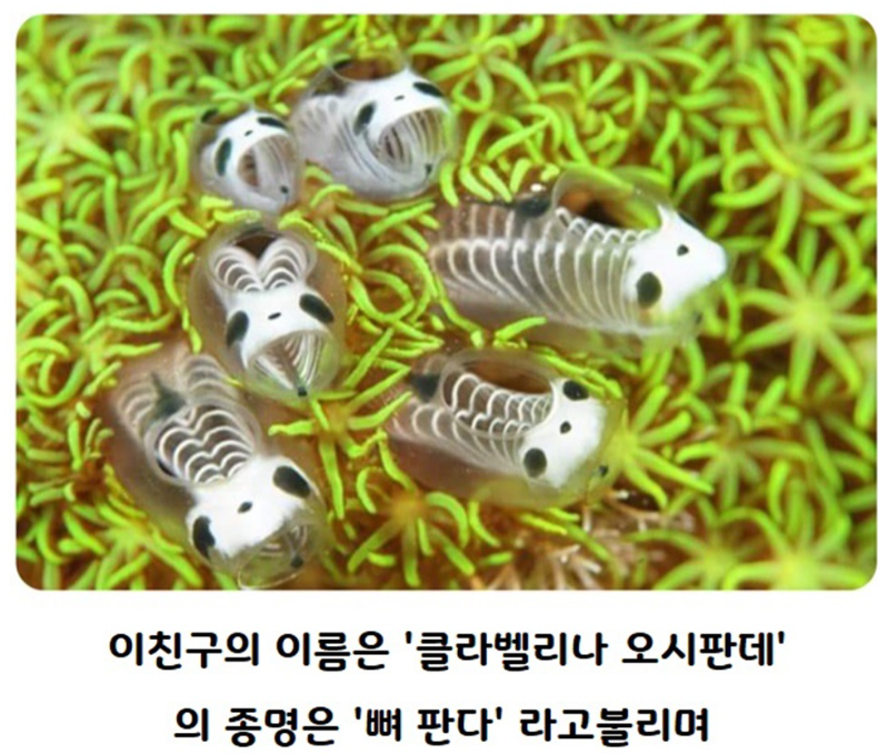 1758779066_0_img.jpeg