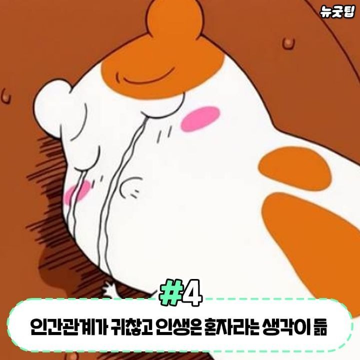 1758780411_0_img.jpeg