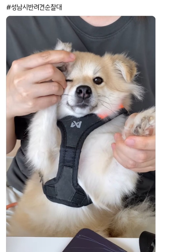 1758855139_0_img.jpeg