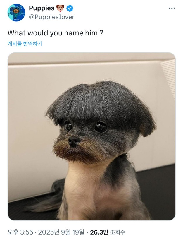 1759117877_0_img.jpeg