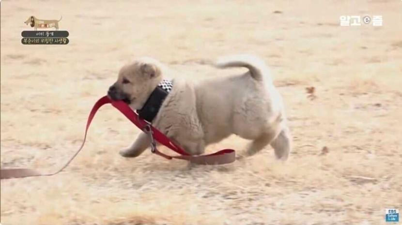 1759205090_0_img.jpeg