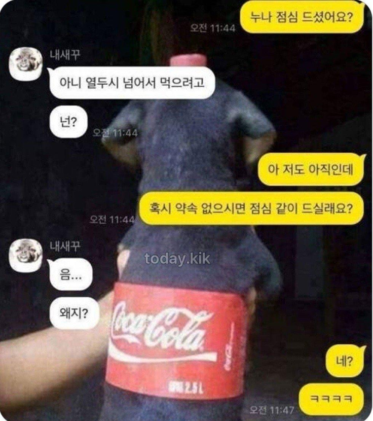 1759392459_0_img.jpeg