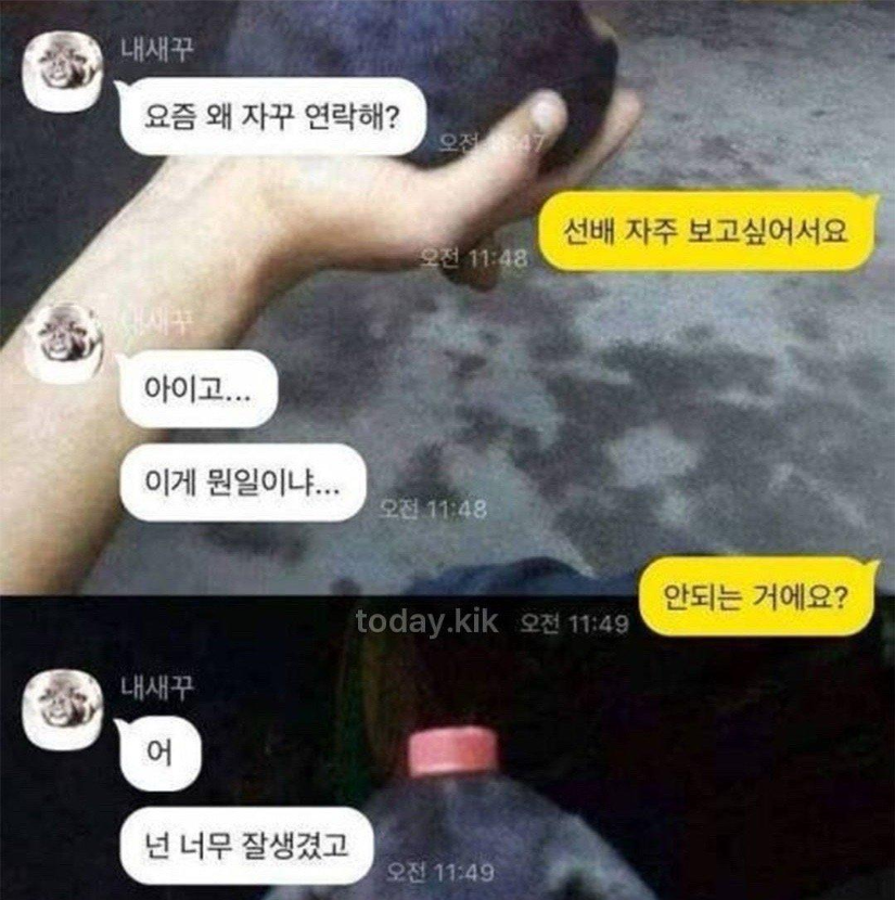 1759392476_0_img.jpeg
