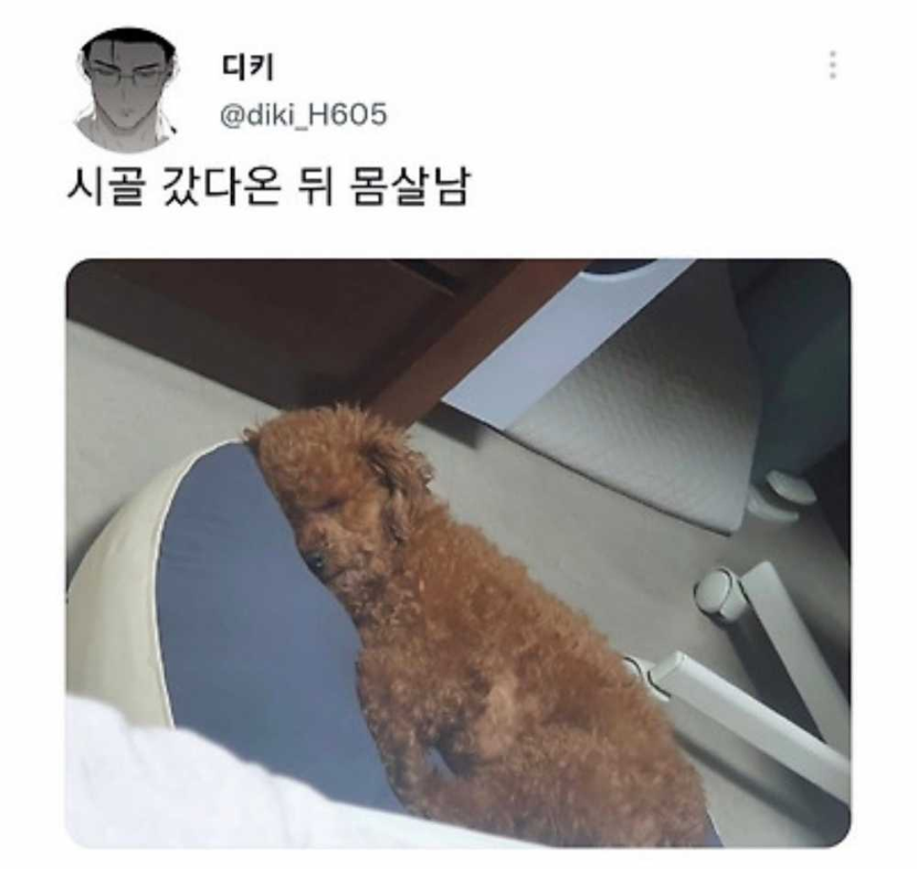 1759466857_0_img.jpeg