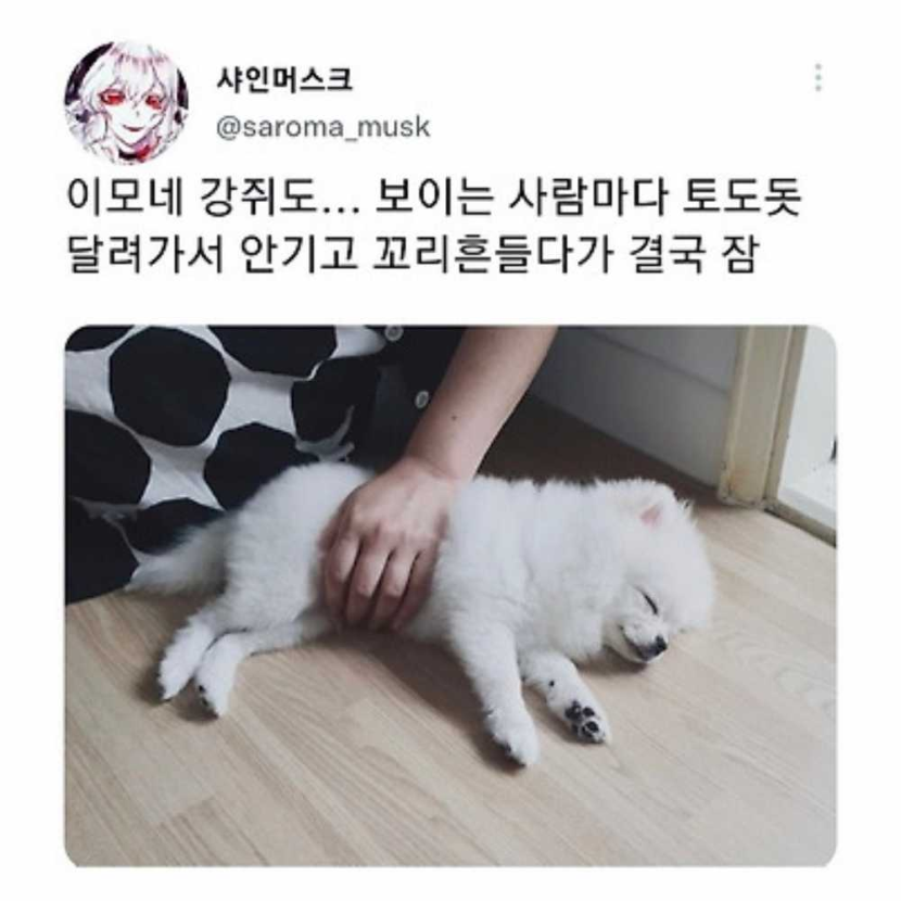 1759466872_0_img.jpeg
