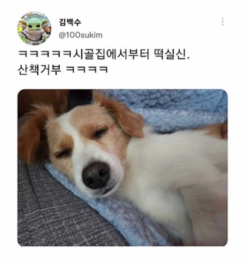 1759466878_0_img.jpeg