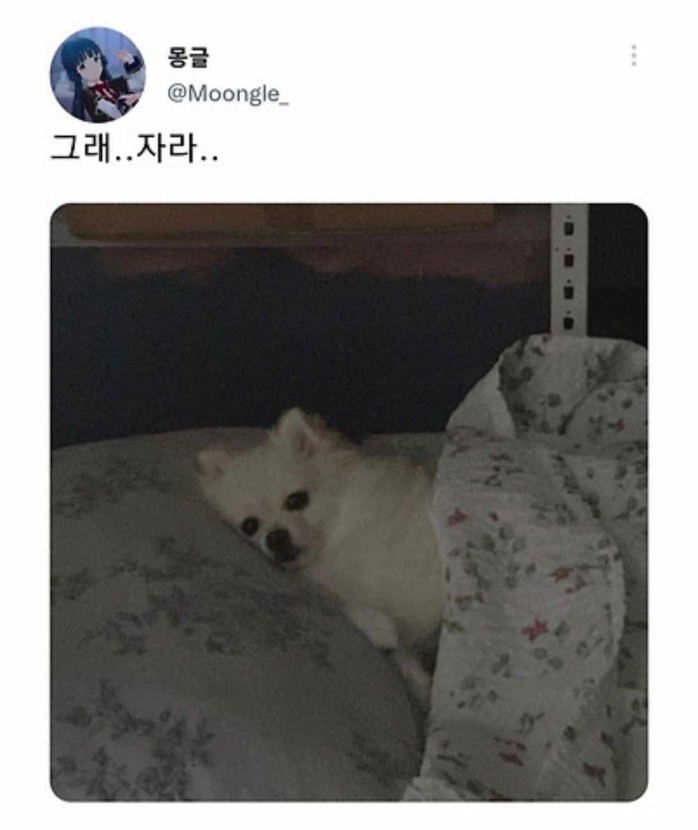 1759466888_0_img.jpeg