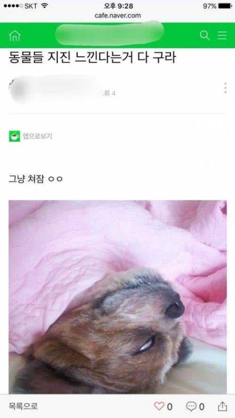 1760334090_0_img.jpeg