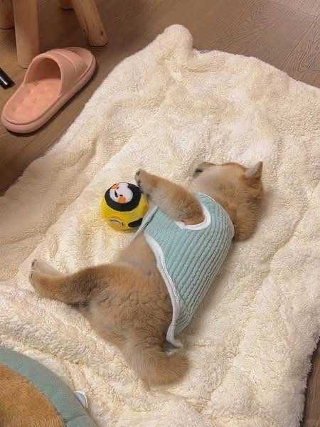 1760418548_0_img.jpeg