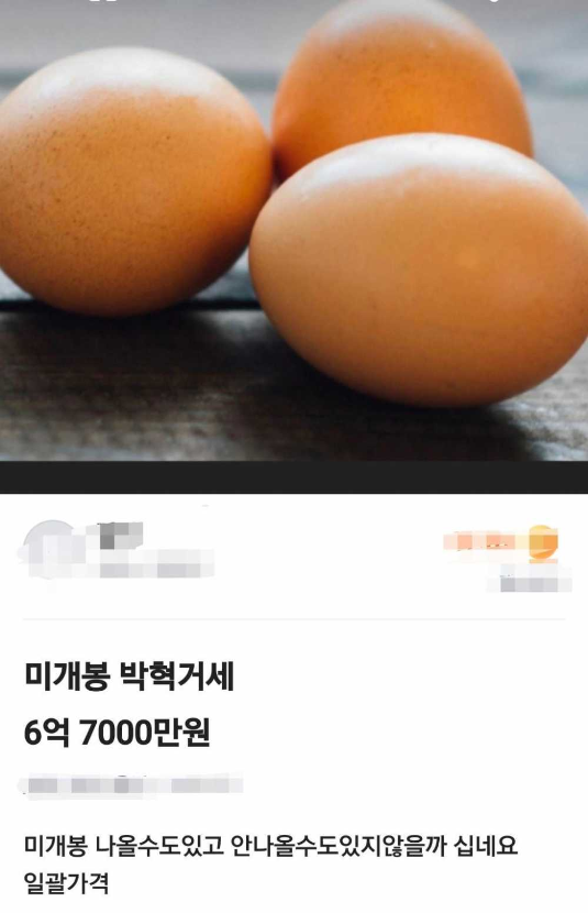 1760515195_0_img.jpeg